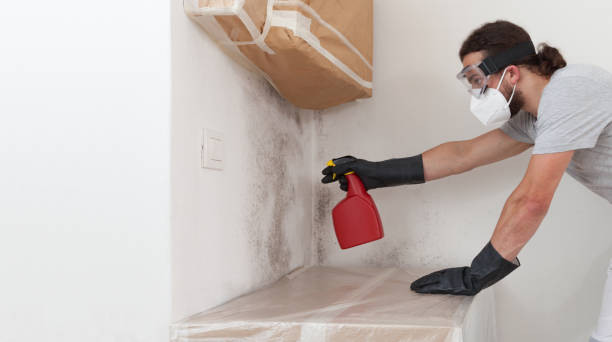 Professional Mold Removal technician working in Hamburg, NJ