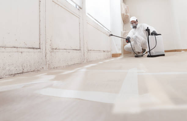 24/7 Emergency Mold Removal experts in Hamburg, NJ