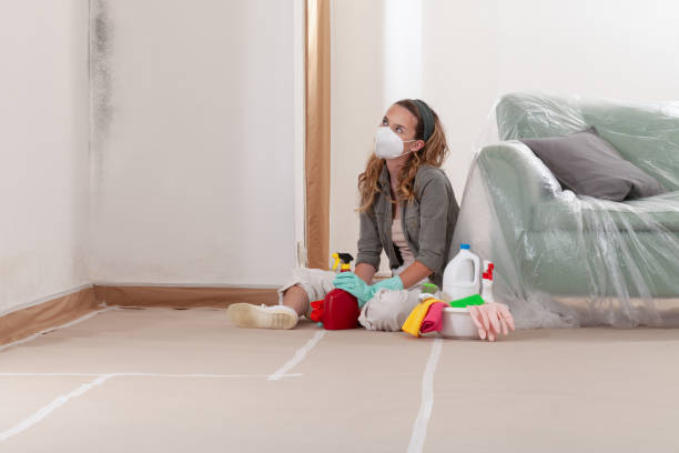 Reliable Mold Remediation contractor in Hamburg, NJ by Cheap Mold Removal